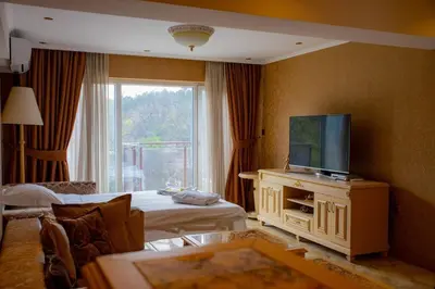 a hotel room with a television and a living room at Luxury Apartment 'Rich' in Velingrad