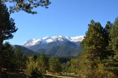 a view of the mountains from the forest at Deluxe Studio 200m from Ski Road in Bansko