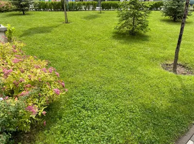 a green lawn with flowers and trees in a park at Apartment Mladost 2 - Free Parking in Sofia