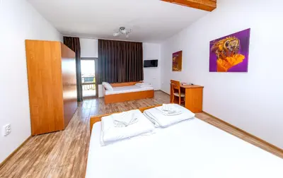 a bedroom with a bed and a desk in a room at Къща за приятели Недкови in Vasil Levski
