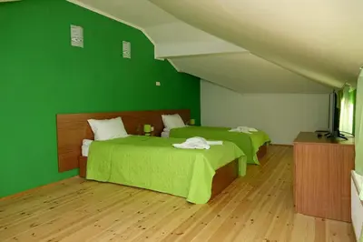 a green room with two beds and a television at Горски Кът in Devin