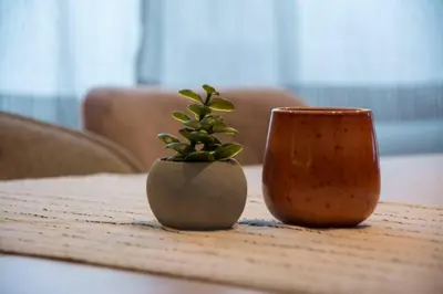 a small plant in a vase sitting on a table at Green Villa in Saparewo
