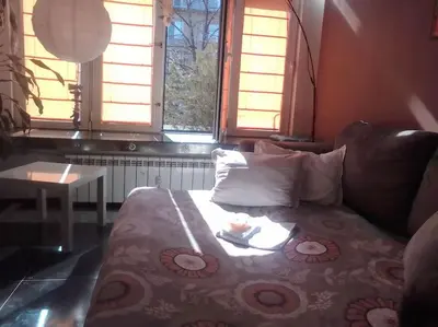 a bed in a room with a couch and two windows at Sofia Palms: Modern apartment with a large terrace in Sofia