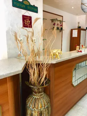 a vase filled with branches in a bathroom at Elena Hotel in Petrich