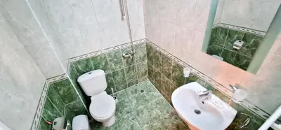 a bathroom with a toilet and a sink at Семеен хотел Света Марина in Dobrinishte