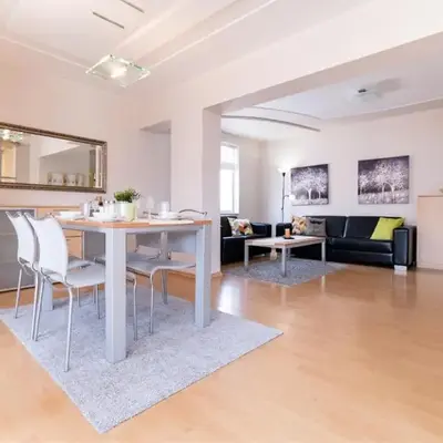 Spacious apartment in the city center