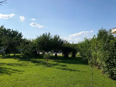 an apple orchard with trees and grass in a field at Galeria In The Garden in Plovdiv