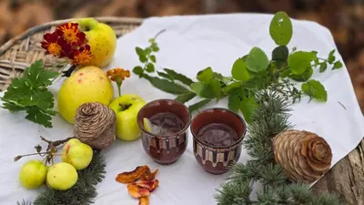 a table topped with three cups of chocolate and plants at Galeria In The Garden in Plovdiv