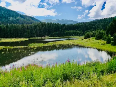 a pond in the middle of a field with trees at Secret Lake 533 at Oak Residence in Smolyan
