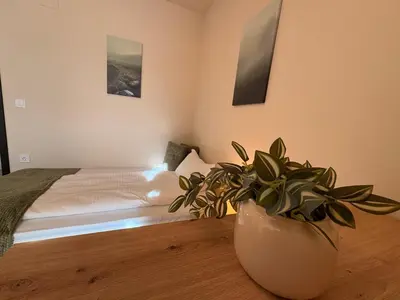 a bedroom with a bed and a potted plant at Two-bedroom Apartments - Tundza in Sofia