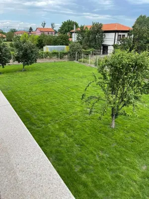 a green park with a tree in the grass at Къща Бети самостоятелни апартаменти с двор край Пловдив in Skutare