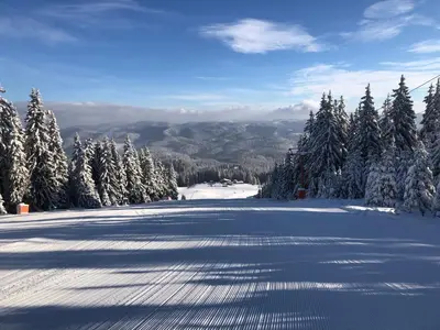 a snow covered road with trees and mountains in the background at STENATA Sport Apartments in Pamporovo