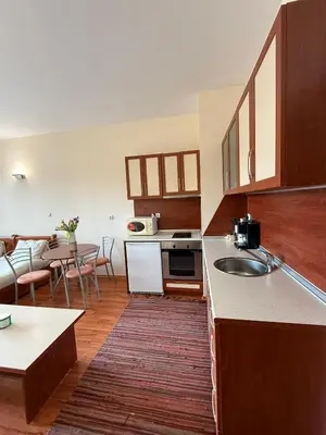 a kitchen with a sink and a living room at Cedar Heights 2 in Pamporovo