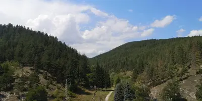 a view of a mountain with trees and a road at Апартамент и Студия 