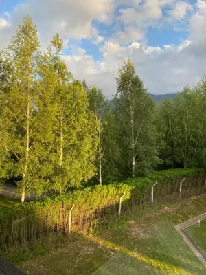 a fence in front of a yard with trees at M&R Apartment C13 - SPA Terra Complex in Razlog