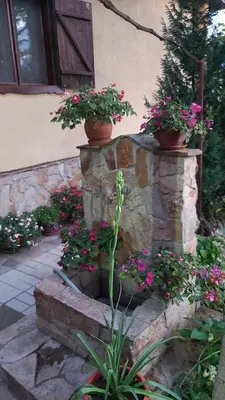 a stone wall with two potted plants and flowers at Къща за гости в селска местност in Petrich