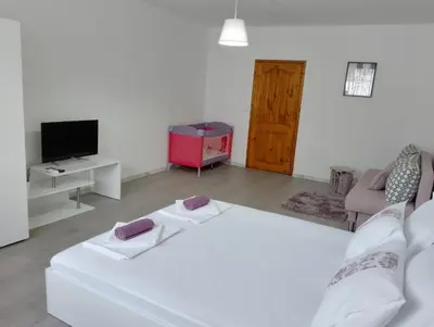 a white living room with a white couch and a tv at Apartment Danilia in Sandanski