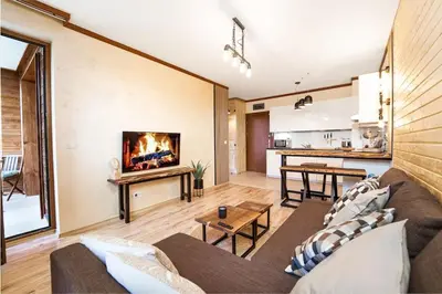 a living room with a couch and a fireplace at Best Mountain View Chalet in Bansko