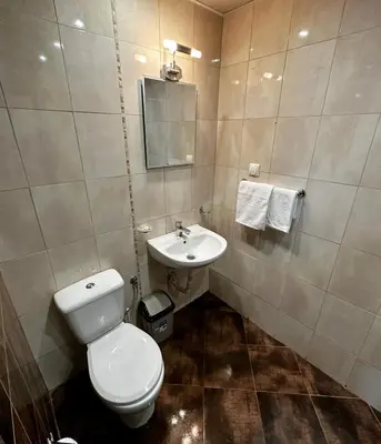 a bathroom with a toilet and a sink at Diana’s place in Sandanski