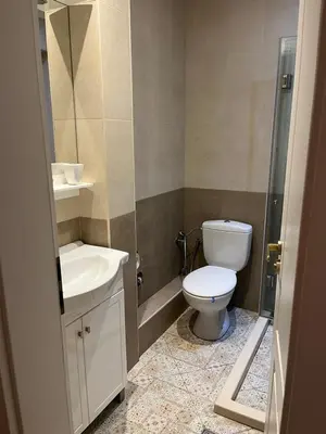 a bathroom with a toilet and a sink at Guest House Amaya River in Plovdiv