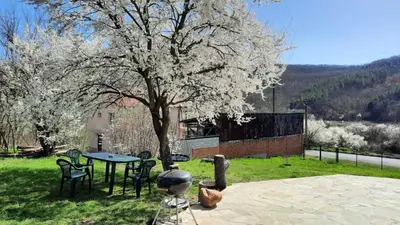a table and chairs and a tree in a yard at 