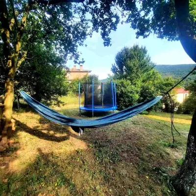 a hammock hanging from a tree in a field at 