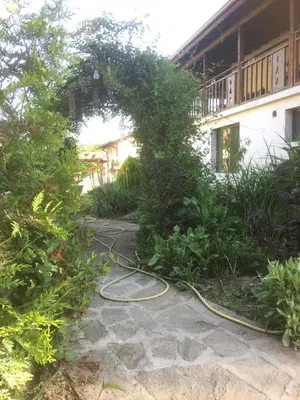 a garden with a hedge and a hose at Three Graces in Banya