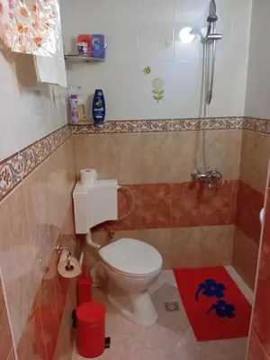 a bathroom with a toilet and a shower at Апартамент Стела in Sofia