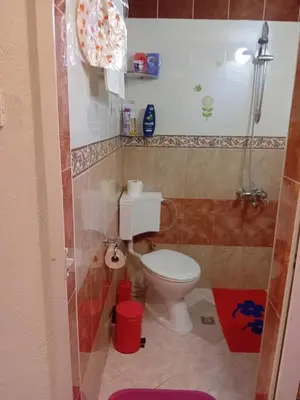 a small bathroom with a toilet and a shower at Апартамент Стела in Sofia