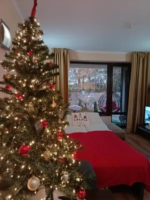 a christmas tree in a room with a bed at Terra complex -D6 - Balkan private apartment-Spa Sking Golf and Relax in Razlog