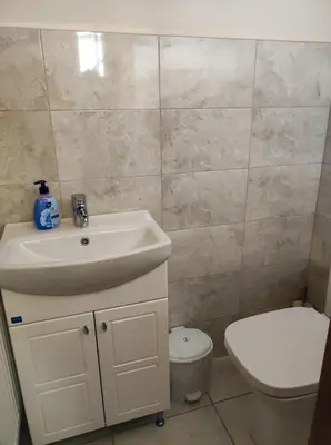a bathroom with a sink and a toilet at Терасите - Къща 1 in Ribarica