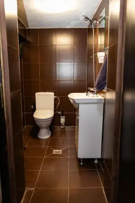 a bathroom with a toilet and a sink at СТАРАТА КЪЩА in Sovolyano