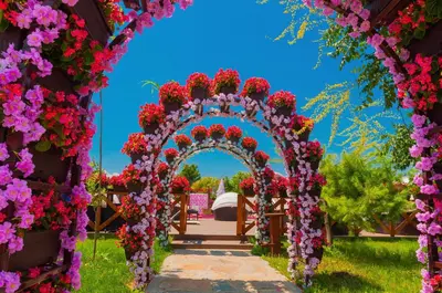 an arch covered in flowers in a garden at The Wind Mills Hydropark in Gorna Malina