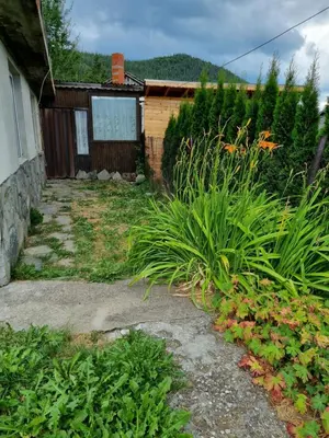 a yard with a house and some plants and a building at Къща ВИРА in Yasă-Koriya