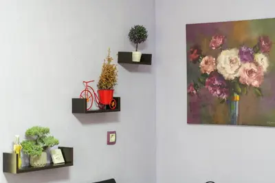 a wall with two shelves with plants and a painting at Sweet Home 1 in Sandanski
