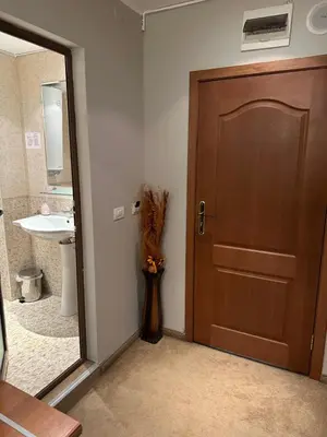 a bathroom with a wooden door and a sink at Anna Apartment near Gondola in Bansko