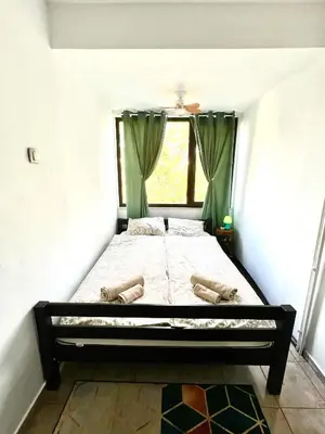 a bedroom with a large bed with a window at The Green Apartment 2BR - free parking in Sofia