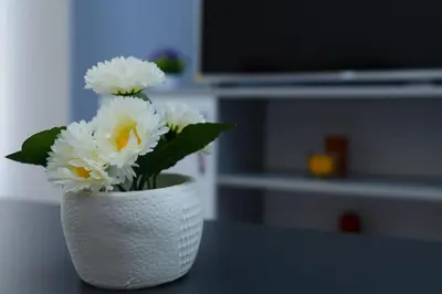 a white vase filled with white flowers on a table at Къща за гости Хаджиеви in Ognyanovo