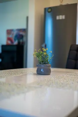 a blue vase with a plant sitting on a table at Sunny Sofia Studio #1 in Sofia