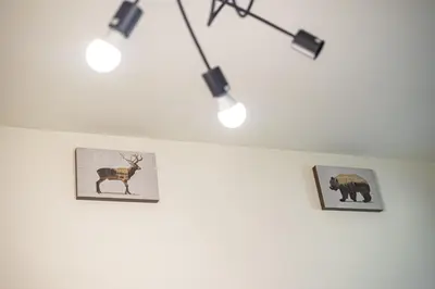 two pictures of animals on a white wall with lights at Sunny Sofia Studio #1 in Sofia
