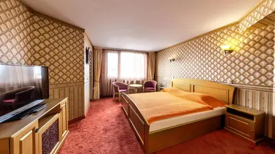 a hotel room with a bed and a television at Hotel Boyana in Sofia