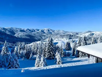 a view of a snowy mountain range with snow covered trees at Panorama View-Stoykite in Stoykite