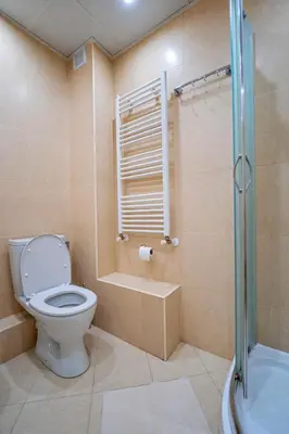 a bathroom with a toilet and a shower at Апартамент Амбра in Sandanski