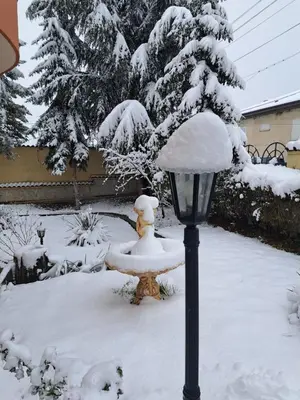 a snow covered yard with a lamp and a tree at Славина къща in Perushtitsa