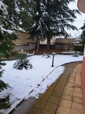 a snow covered yard with a parking meter and trees at Славина къща in Perushtitsa