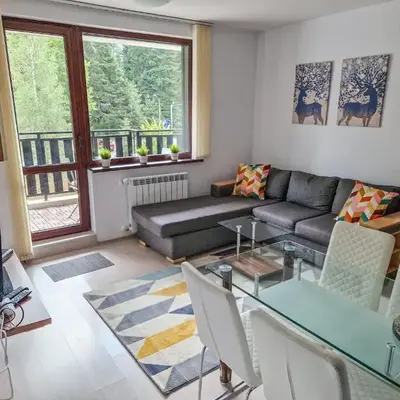 Sunny Apartment C25