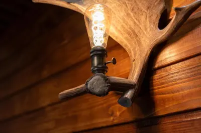 a light on a wooden wall with a lamp on it at Къща за гости Чудните Мостове in Zabŭrdo