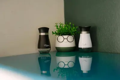 three vases and a potted plant on a shelf at 5 Seconds Away from the Main Street, FREE Secured Parking in Sofia