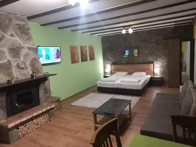 a living room with a bed and a fireplace at стаи за гости TODA in Troyan