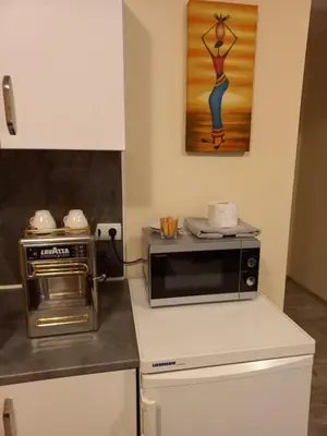 a microwave oven sitting on top of a kitchen counter at стаи за гости TODA in Troyan
